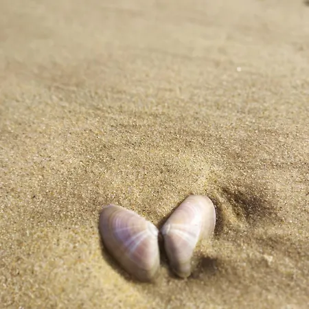 Familial, Mini Ferme, Proche Plages アパート *